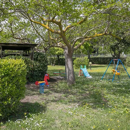 Il Girasole - Tasso Venturina Terme